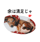 子犬のタロー（個別スタンプ：24）