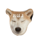 ふやふや（個別スタンプ：8）
