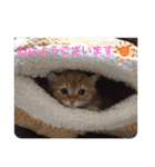 ゆみこじろうの部屋（個別スタンプ：1）