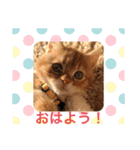 ゆみこじろうの部屋（個別スタンプ：2）