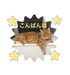 ゆみこじろうの部屋（個別スタンプ：6）