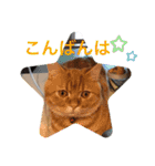 ゆみこじろうの部屋（個別スタンプ：7）