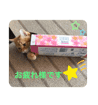 ゆみこじろうの部屋（個別スタンプ：11）
