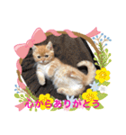 ゆみこじろうの部屋（個別スタンプ：18）
