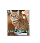 ゆみこじろうの部屋（個別スタンプ：26）