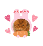ゆみこじろう（個別スタンプ：1）