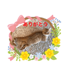 ゆみこじろう（個別スタンプ：3）