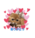 ゆみこじろう（個別スタンプ：4）