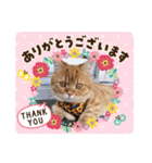 ゆみこじろう（個別スタンプ：5）