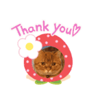 ゆみこじろう（個別スタンプ：6）