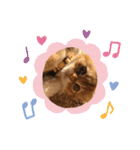 ゆみこじろう（個別スタンプ：8）