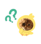 ゆみこじろう（個別スタンプ：18）