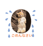 ゆみこじろう（個別スタンプ：21）