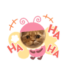 ゆみこじろう（個別スタンプ：27）