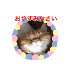 ゆみこじろう（個別スタンプ：29）