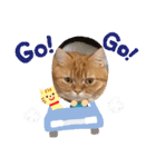 ゆみこじろう（個別スタンプ：31）