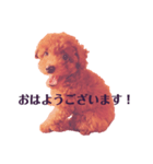 かいたんの日常会話（個別スタンプ：8）