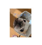SUNです！（個別スタンプ：3）