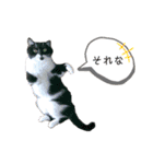 まんまる貴族（個別スタンプ：13）