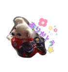 がっなっこたきな（個別スタンプ：7）