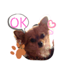 がっなっこたきな（個別スタンプ：9）