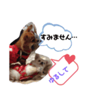 がっなっこたきな（個別スタンプ：12）