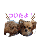 がっなっこたきな（個別スタンプ：13）