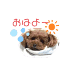 がっなっこたきな（個別スタンプ：16）