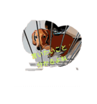 U Dachshund U（個別スタンプ：9）