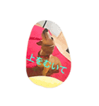U Dachshund U（個別スタンプ：12）