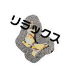 U Dachshund U（個別スタンプ：13）