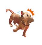 U Dachshund U（個別スタンプ：16）