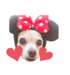 雑種犬ラム（個別スタンプ：1）