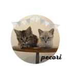 ちょこちくわ（個別スタンプ：7）