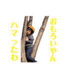 Bros＆Sis(Bro2 Solo)（個別スタンプ：8）