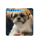 もちもちお（個別スタンプ：10）