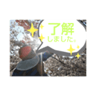 0歳のあばれうま（個別スタンプ：6）