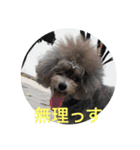 もふもふの2匹（個別スタンプ：6）