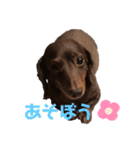 毎日ちゅらちゃん♡（個別スタンプ：2）