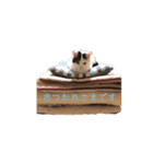 PONTA★（個別スタンプ：7）