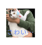 PONTA★（個別スタンプ：8）