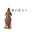 ビーグル犬 デイル3（個別スタンプ：2）