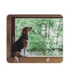 ビーグル犬 デイル3（個別スタンプ：4）