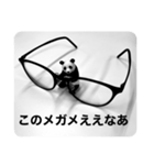 めがねパンダ（個別スタンプ：1）