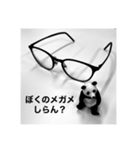 めがねパンダ（個別スタンプ：2）