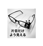 めがねパンダ（個別スタンプ：4）