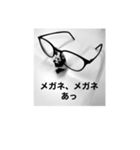 めがねパンダ（個別スタンプ：5）