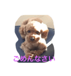 うに❤️しじみ Part2（個別スタンプ：5）