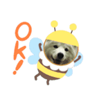 サモエド  もふもふみるく（個別スタンプ：8）