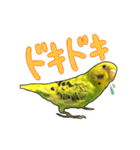 ウチの子ミドちゃん（個別スタンプ：6）
